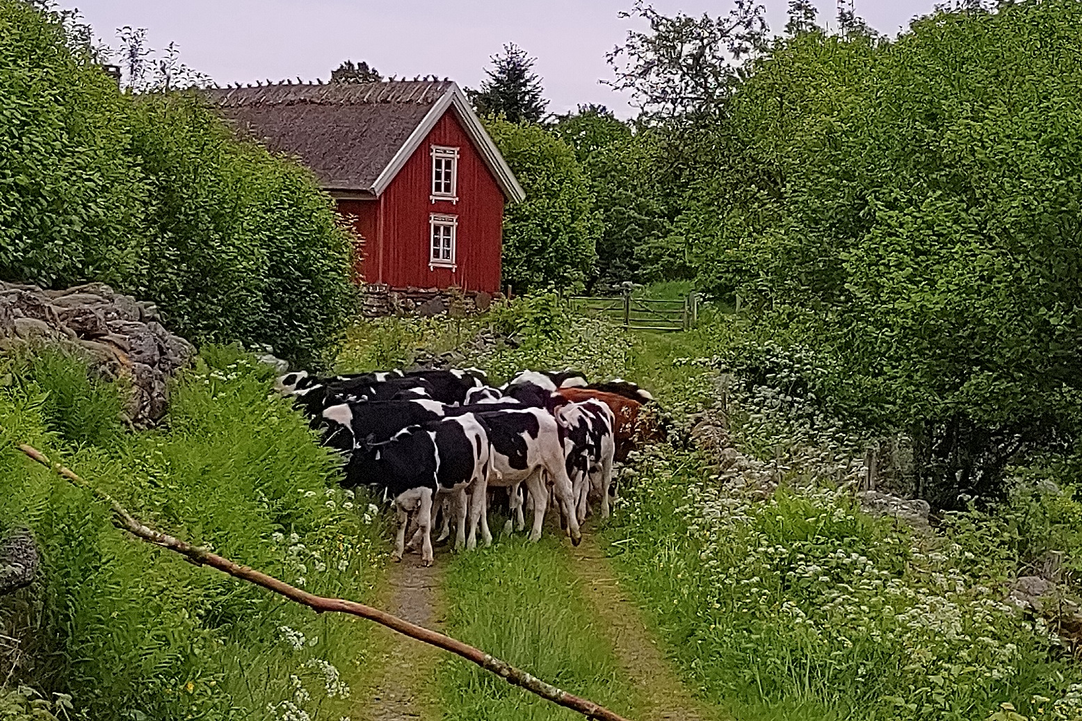 Jordbruk