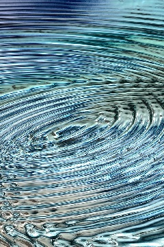 Picture of circular waves on water